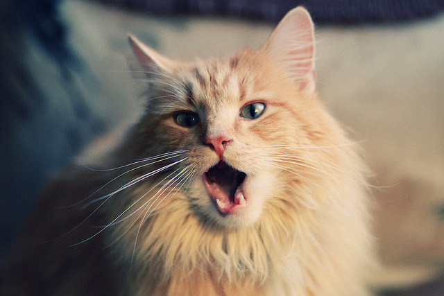 AYX GAMING-马赛客场逼平摩纳哥，继续保持不败记录，摩纳哥vs马赛比分预测