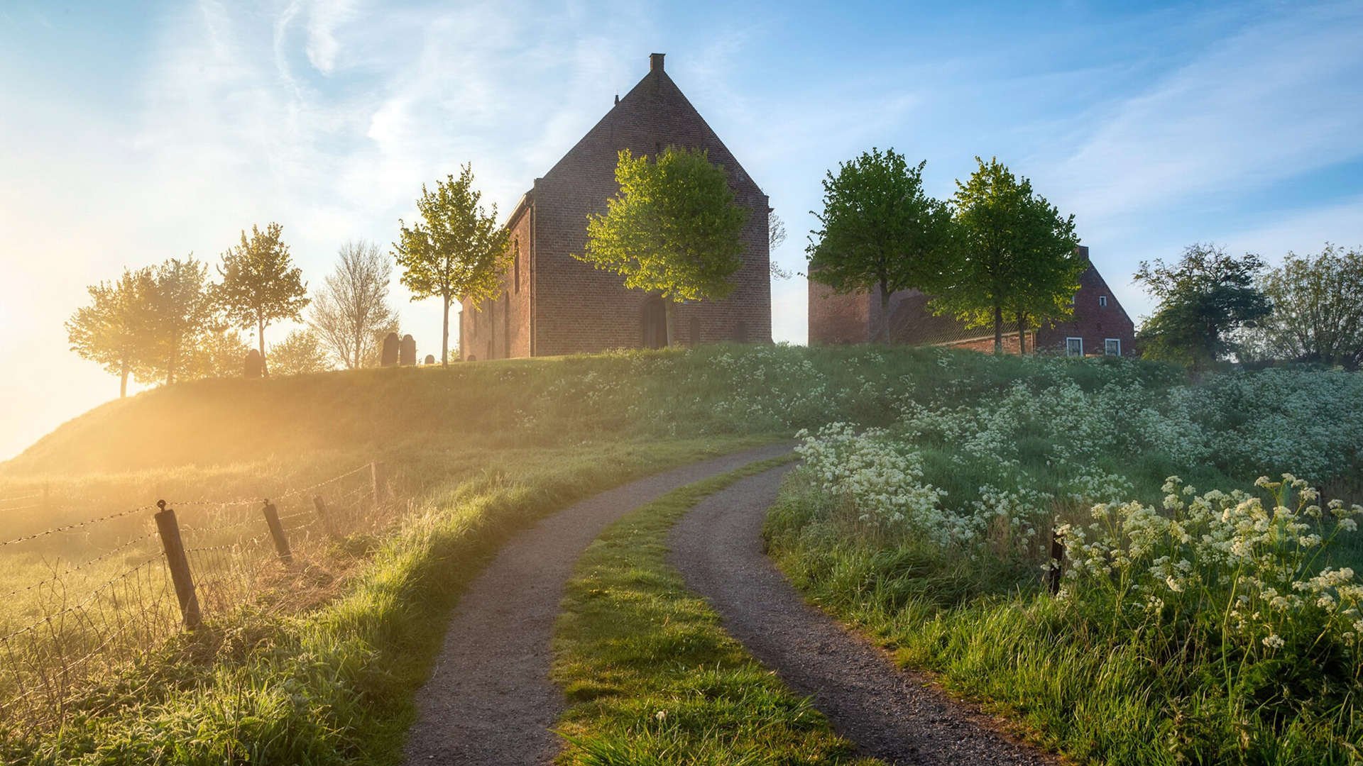 篮球运动员训练负荷动态监测及科学调整方法,篮球运动负荷设计教案