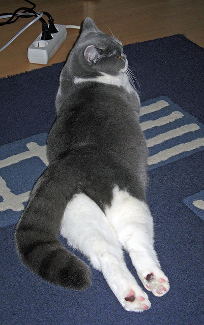 爱游戏登录入口-CBA球队多方合作 推动篮球文化发展，cba球队分析