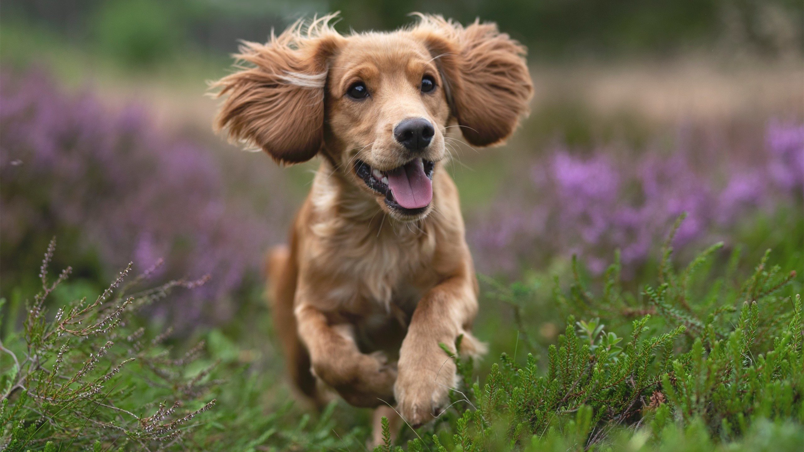 爱游戏电竞-“2025世界运动会：湖滨赛场成为极限运动盛宴”