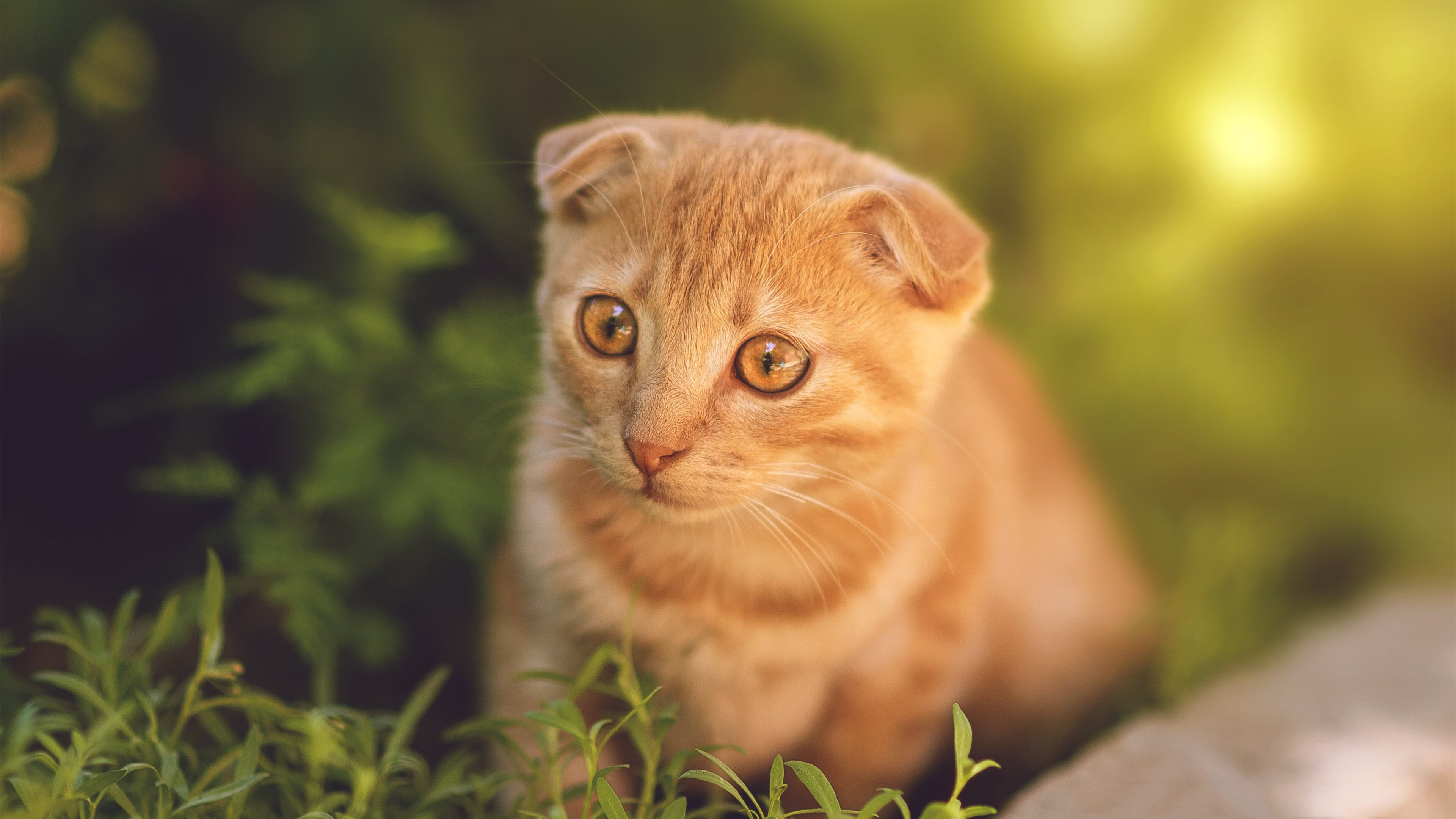 中国男篮加强与职业联赛联动提升训练质量,2021年中国男篮训练视频