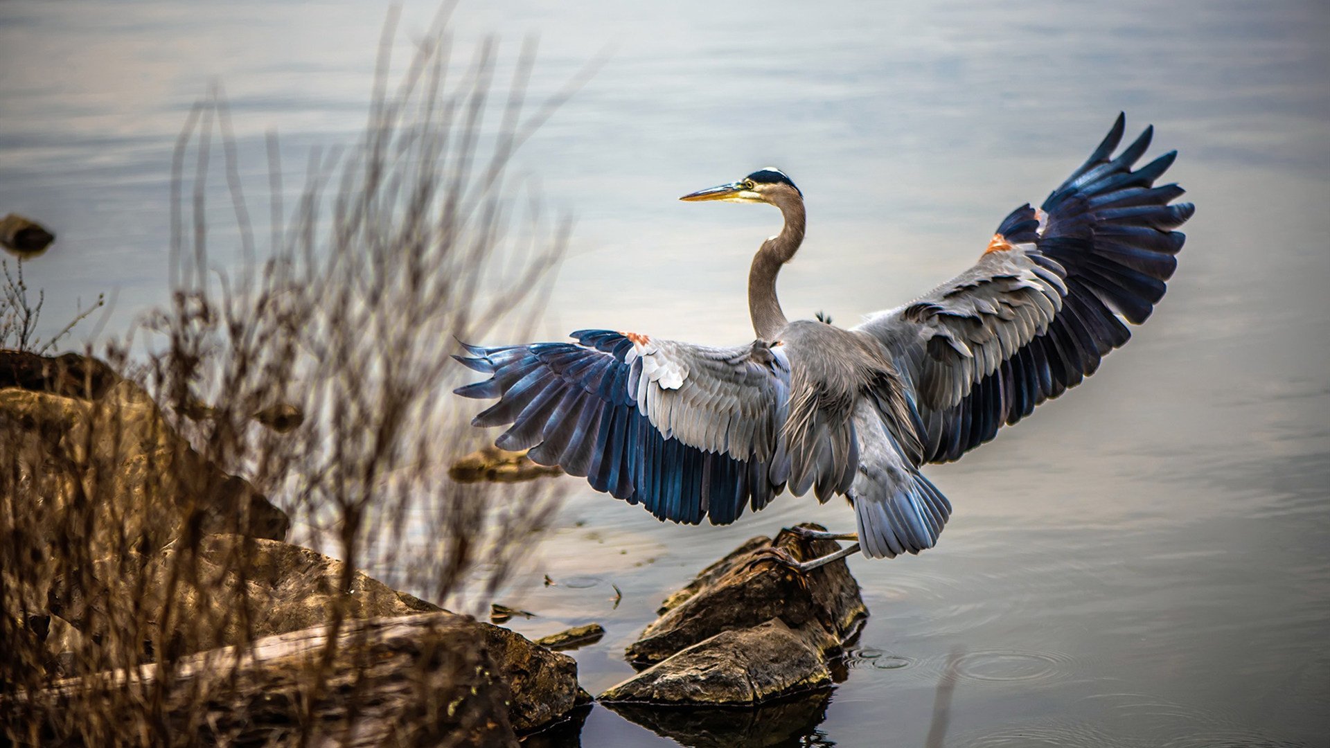 滑雪运动装备检测标准逐步完善,滑雪装备示意图