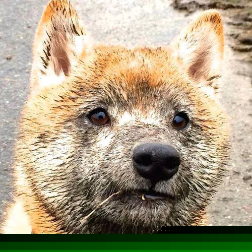 爱游戏中国官方登录入口网站-詹姆斯训练后回应休赛期交易传闻，詹姆斯再次伤退