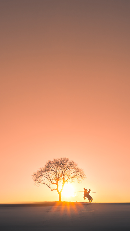 爱游戏娱乐平台-青少年训练营选拔机制优化让更多有潜力选手脱颖而出，参加中国青少年训练营要多少钱